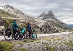 ORTLIEB Back-Roller Free QL2.1 -Pédale Vif Verkäufe Free Bild2