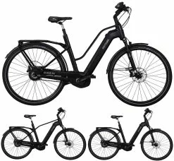 Kettler Quadriga Pro Belt Enviolo 2019