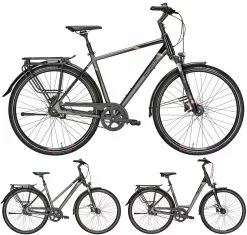 Pegasus Premio SL-Belt 2019 8-Gang