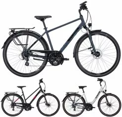 Pegasus Solero-Disc 2022 24-Gang