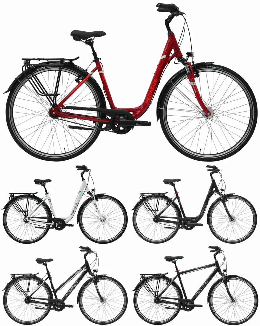 Pegasus Solero SL 2018 7-Gang 1 Pegasus Solero SL 2018 7-Gang