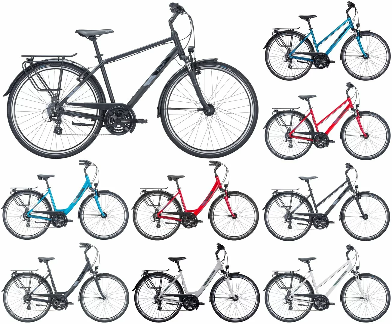 Pegasus Solero SL 2023 24-Gang